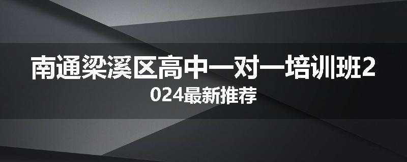 南通梁溪区高中一对一培训班2024最新推荐