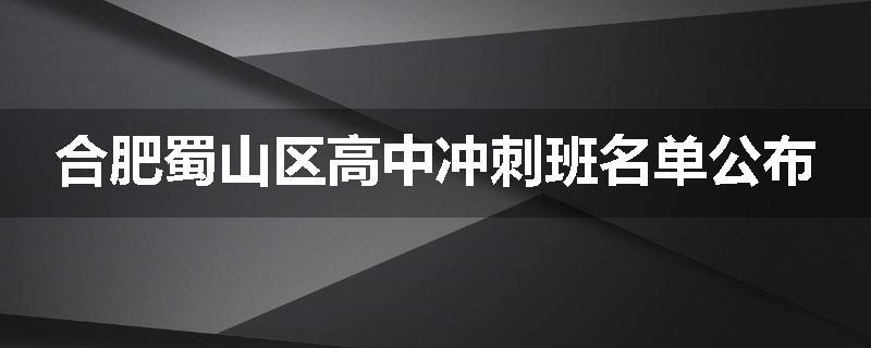 合肥蜀山区高中冲刺班名单公布