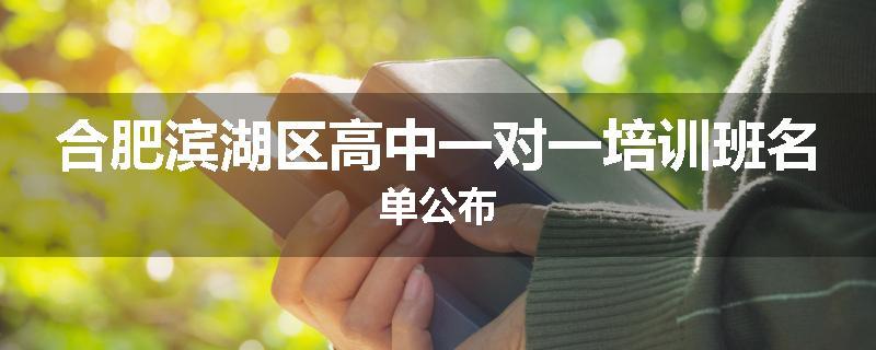合肥滨湖区高中一对一培训班名单公布