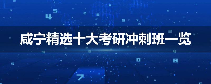 咸宁精选十大考研冲刺班一览