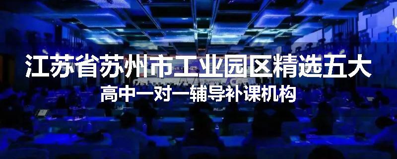 江苏省苏州市工业园区精选五大高中一对一辅导补课机构