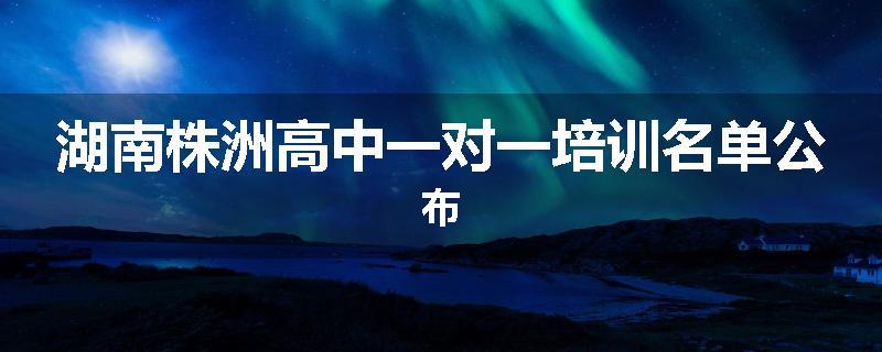 湖南株洲高中一对一培训名单公布