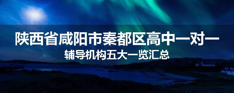 陕西省咸阳市秦都区高中一对一辅导机构五大一览汇总