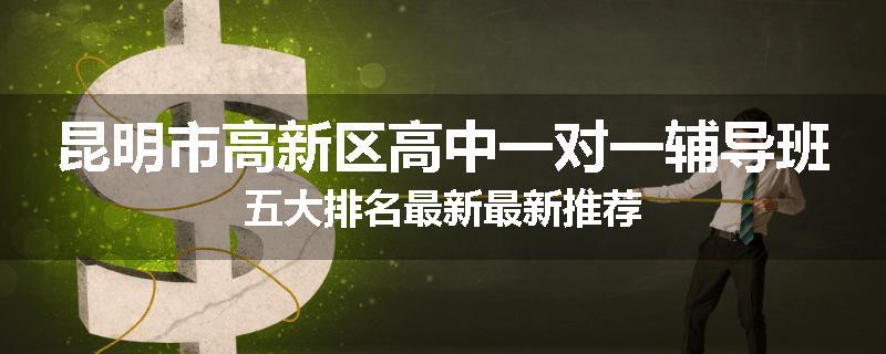 昆明市高新区高中一对一辅导班五大排名最新最新推荐
