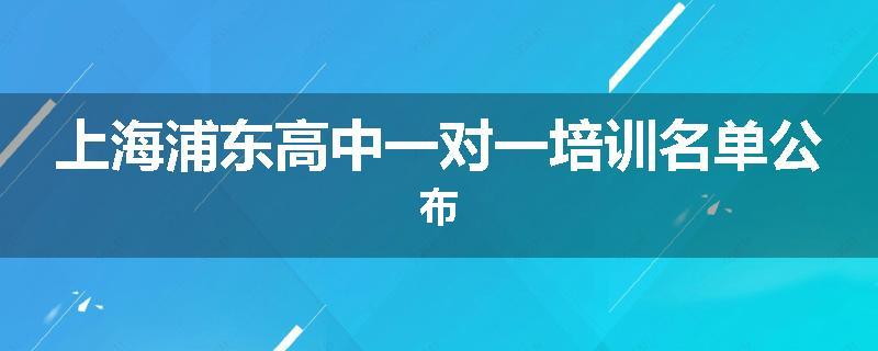 上海浦东高中一对一培训名单公布