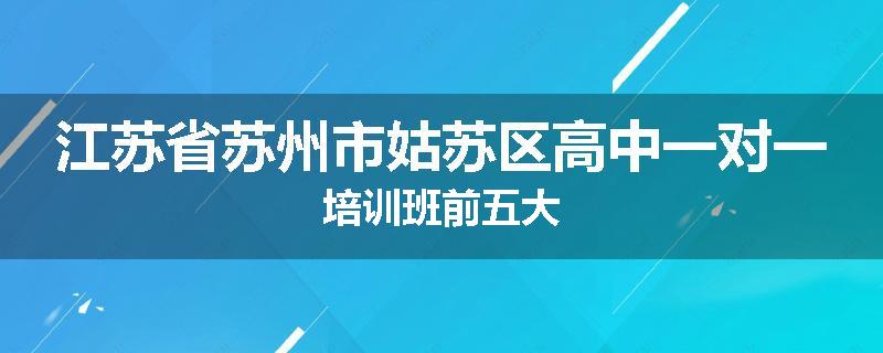 江苏省苏州市姑苏区高中一对一培训班前五大