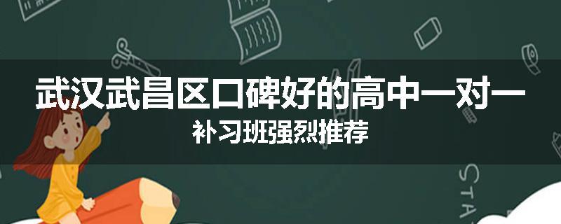 武汉武昌区口碑好的高中一对一补习班强烈推荐