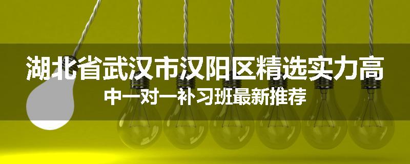 湖北省武汉市汉阳区精选实力高中一对一补习班最新推荐
