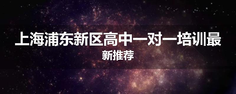 上海浦东新区高中一对一培训最新推荐