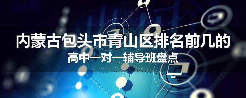 内蒙古包头市青山区排名前几的高中一对一辅导班盘点