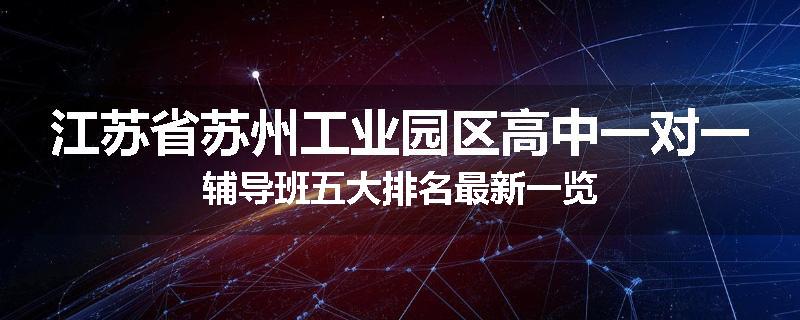 江苏省苏州工业园区高中一对一辅导班五大排名最新一览