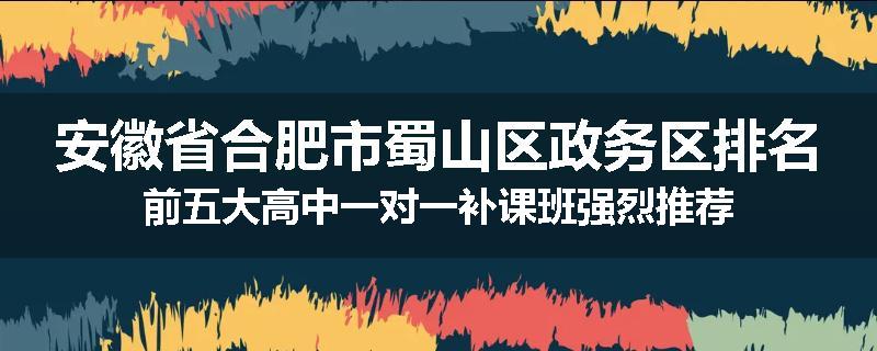 安徽省合肥市蜀山区政务区排名前五大高中一对一补课班强烈推荐