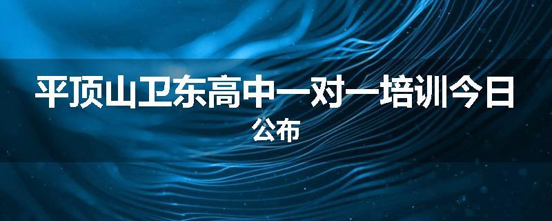 平顶山卫东高中一对一培训今日公布