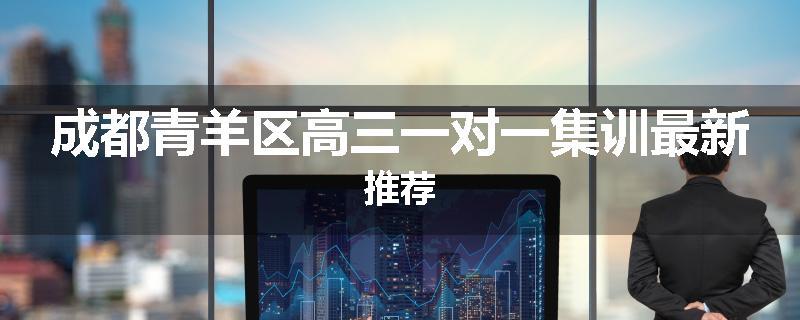 成都青羊区高三一对一集训最新推荐