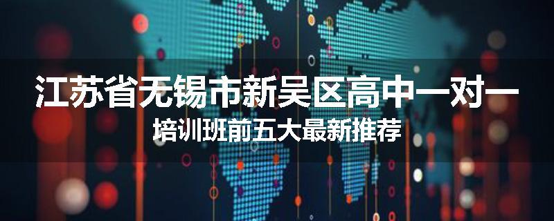 江苏省无锡市新吴区高中一对一培训班前五大最新推荐