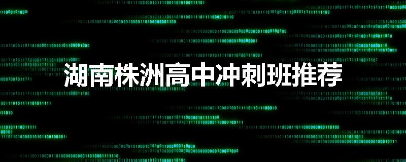 湖南株洲高中冲刺班推荐