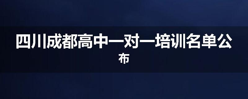 四川成都高中一对一培训名单公布