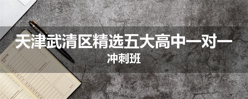 天津武清区精选五大高中一对一冲刺班