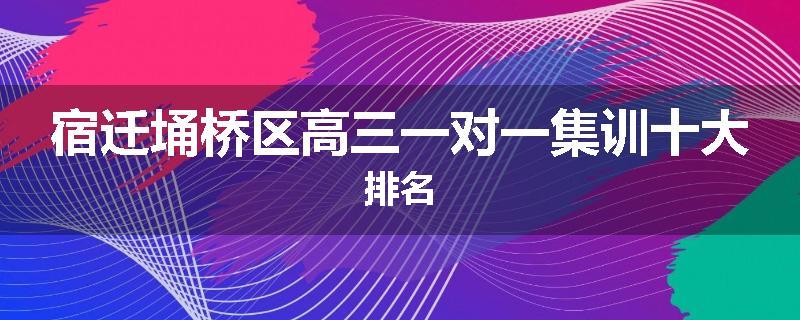 宿迁埇桥区高三一对一集训十大排名