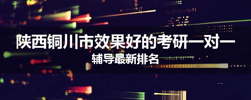 陕西铜川市效果好的考研一对一辅导最新排名