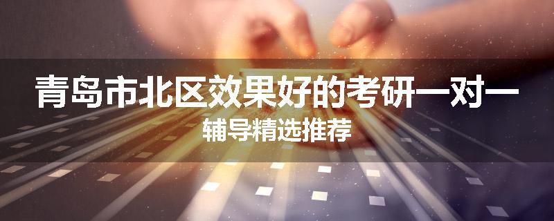 青岛市北区效果好的考研一对一辅导精选推荐