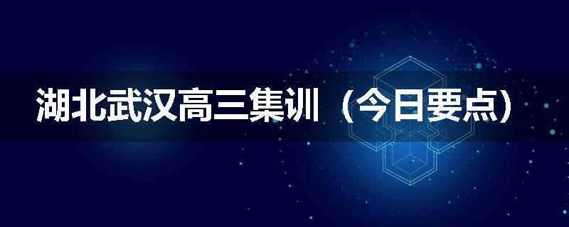 湖北武汉高三集训（今日要点）