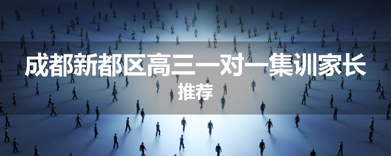 成都新都区高三一对一集训家长推荐