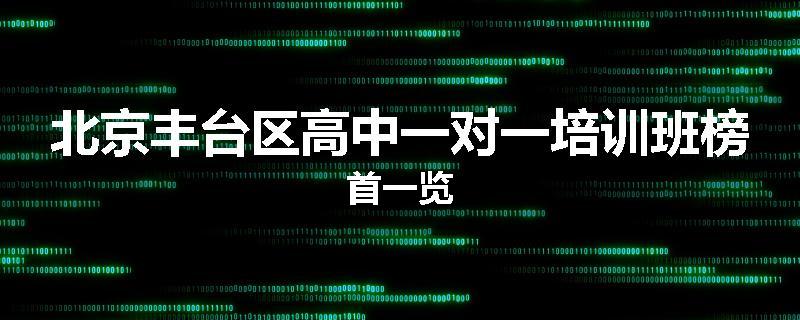 北京丰台区高中一对一培训班榜首一览