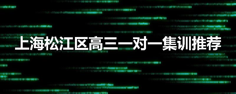 上海松江区高三一对一集训推荐