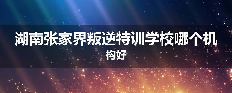 湖南张家界叛逆特训学校哪个机构好