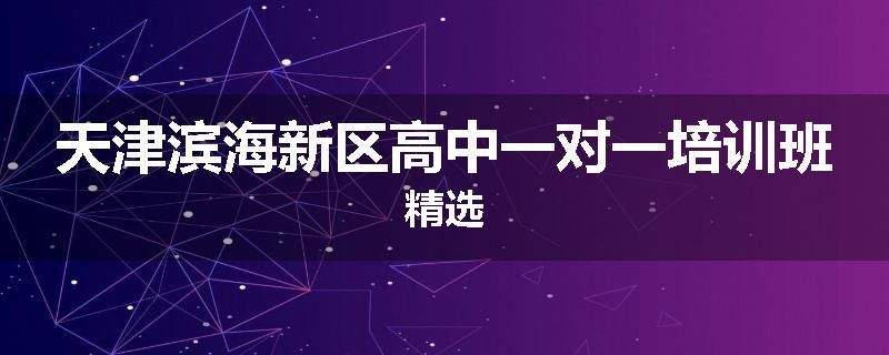 天津滨海新区高中一对一培训班精选