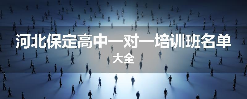 河北保定高中一对一培训班名单大全