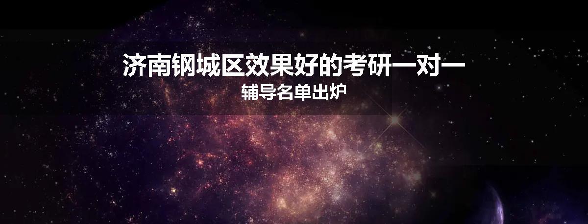 济南钢城区效果好的考研一对一辅导名单出炉