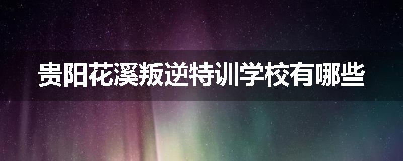 贵阳花溪叛逆特训学校有哪些