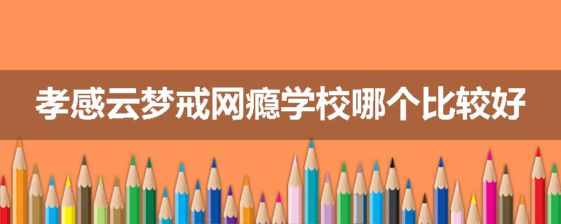 孝感云梦戒网瘾学校哪个比较好