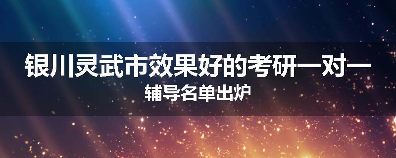 银川灵武市效果好的考研一对一辅导名单出炉