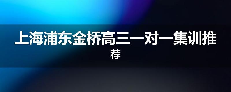 上海浦东金桥高三一对一集训推荐