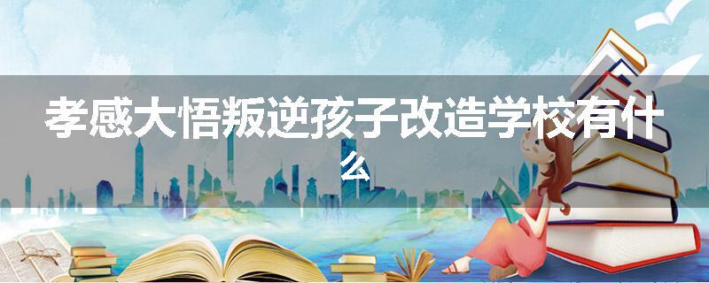 孝感大悟叛逆孩子改造学校有什么