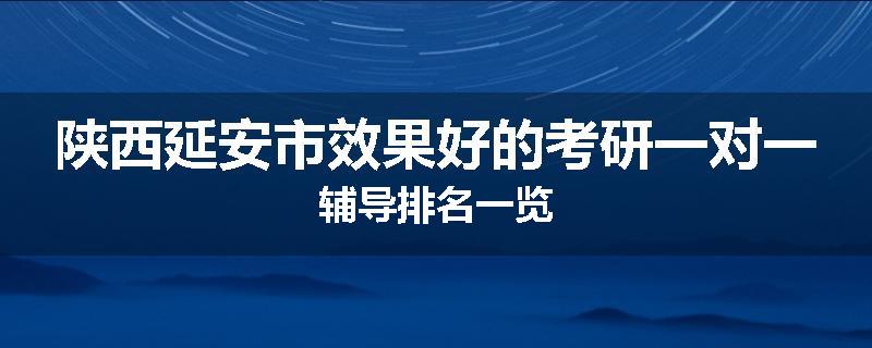 陕西延安市效果好的考研一对一辅导排名一览