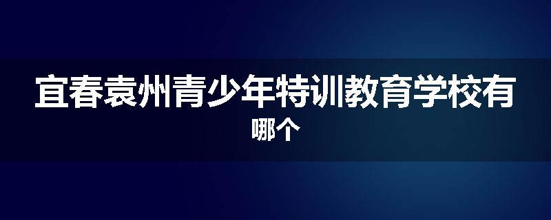 宜春袁州青少年特训教育学校有哪个