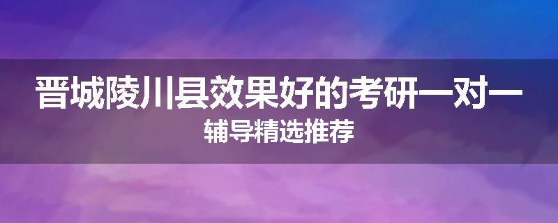 晋城陵川县效果好的考研一对一辅导精选推荐