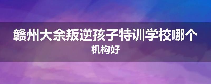 赣州大余叛逆孩子特训学校哪个机构好