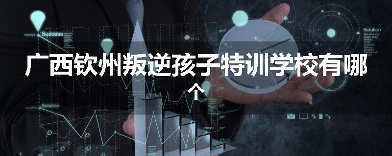 广西钦州叛逆孩子特训学校有哪个