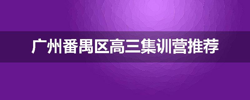 广州番禺区高三集训营推荐