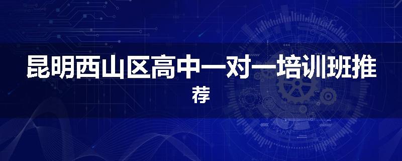 昆明西山区高中一对一培训班推荐