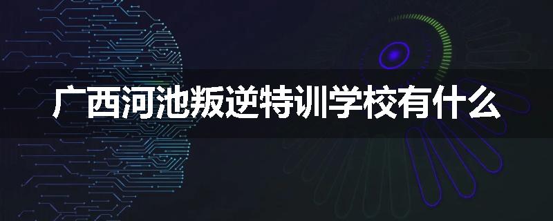 广西河池叛逆特训学校有什么