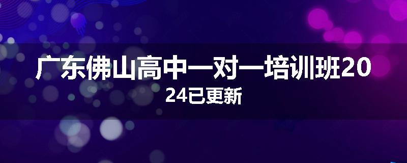 广东佛山高中一对一培训班2024已更新