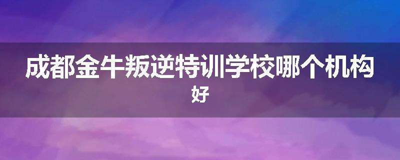 成都金牛叛逆特训学校哪个机构好