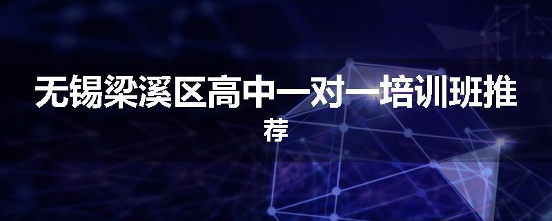 无锡梁溪区高中一对一培训班推荐