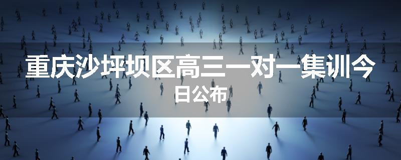 重庆沙坪坝区高三一对一集训今日公布